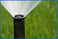 Irrigation  Picture