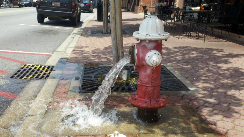 Water Line Flushing